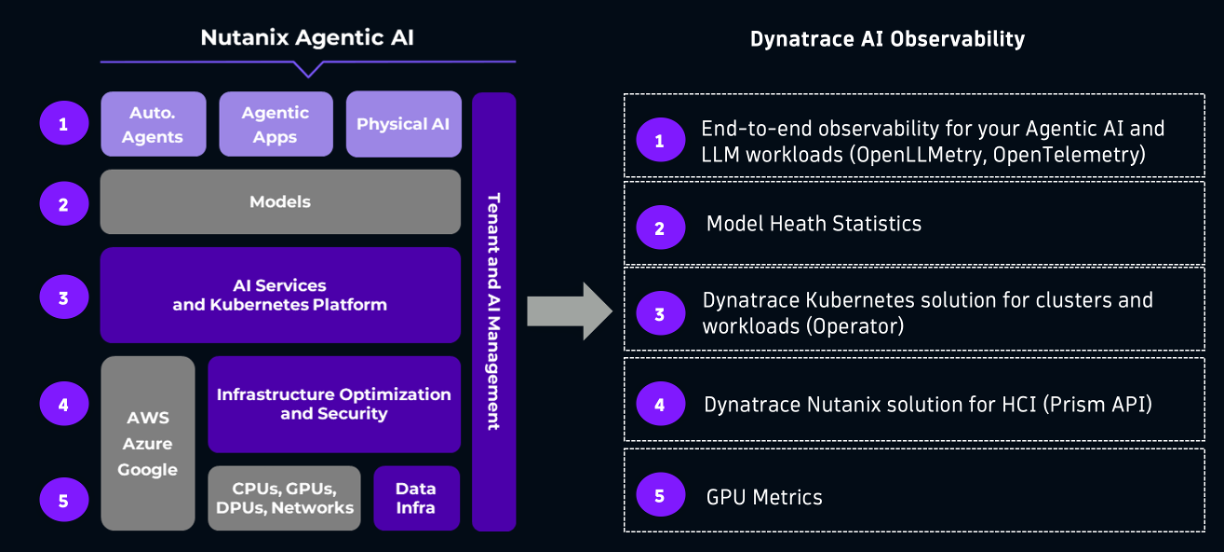 Project and guide assets